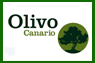 Logo Olivo Canario
